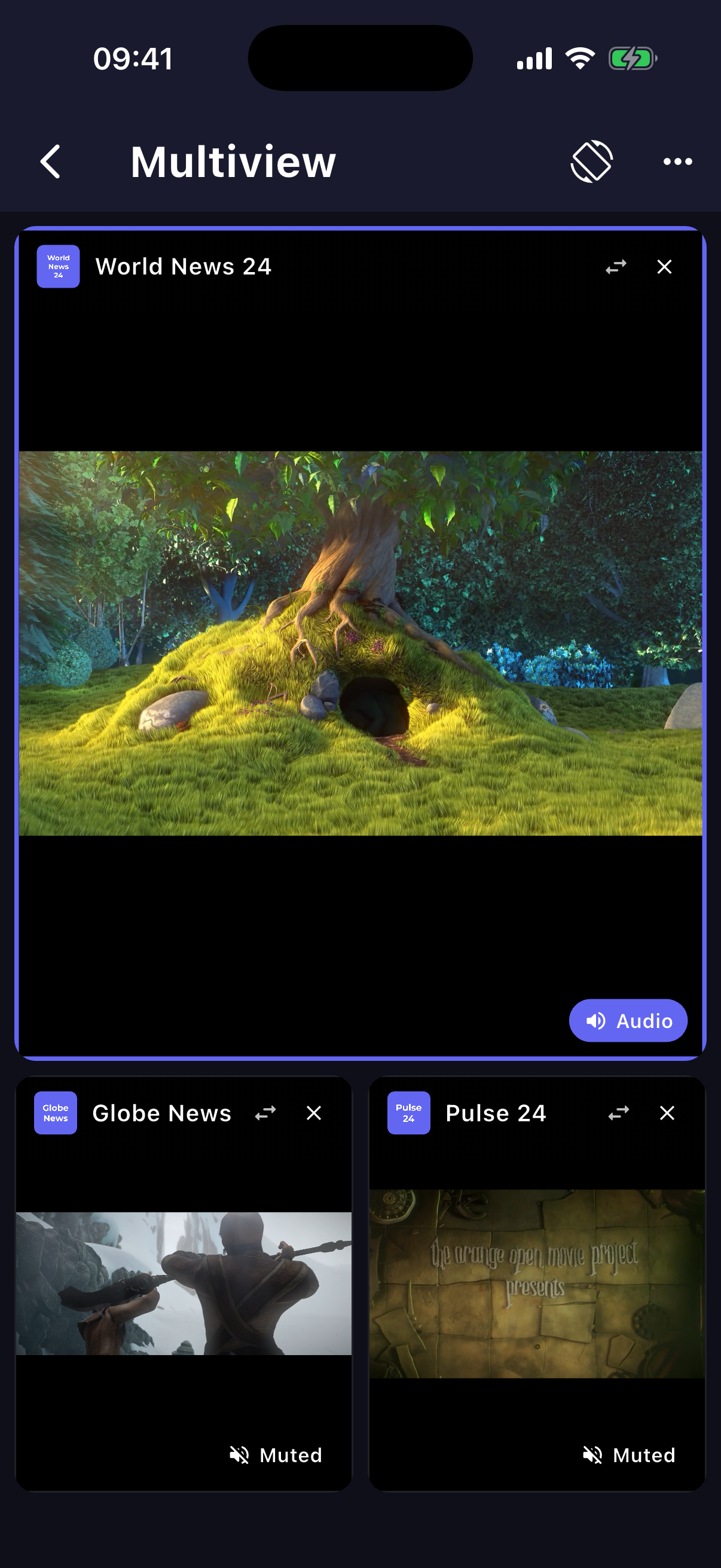 Multiview
